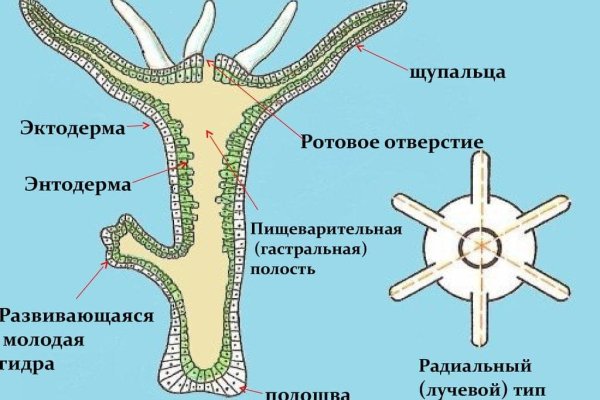 Кракен маркетплейс скачать