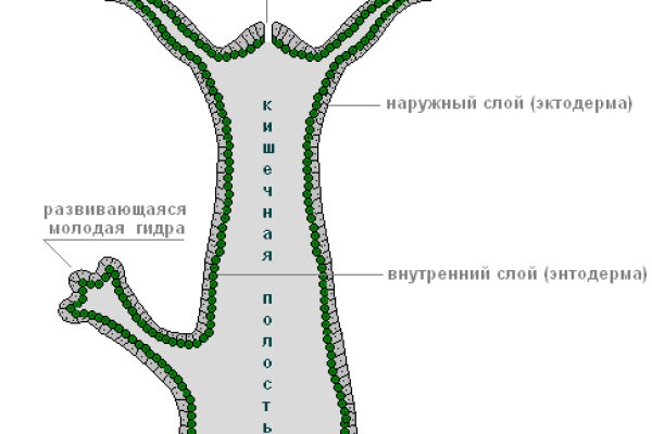 Нарко сайт кракен