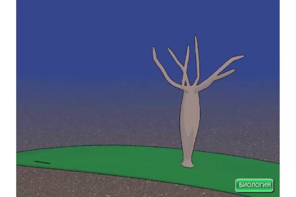 Kraken darknet market зеркало
