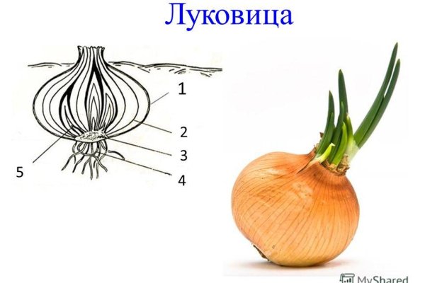 Kraken рынок