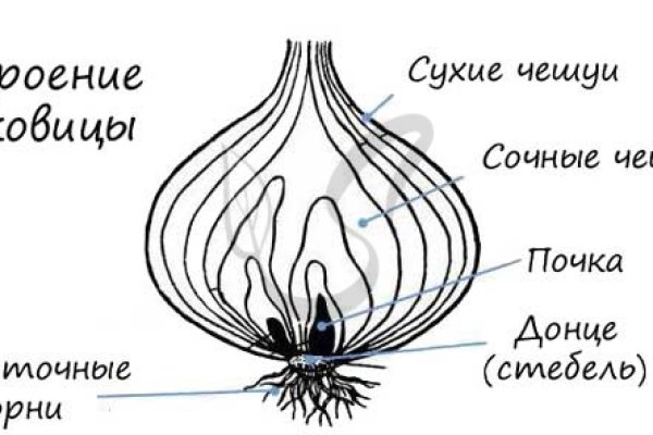 Замена hydra