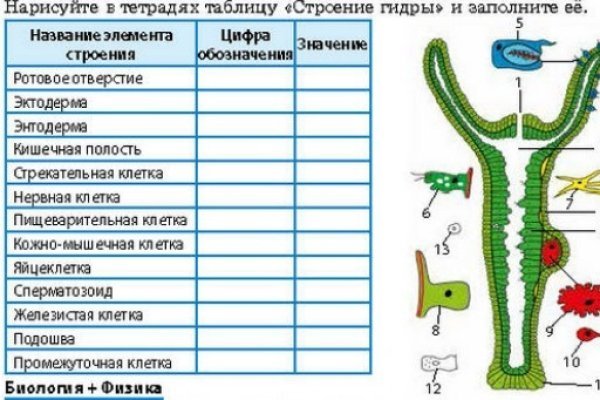 Не могу зайти в кракен