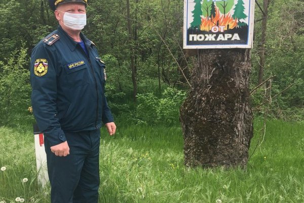 Кракен питер