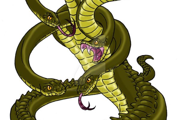Kraken 25 at
